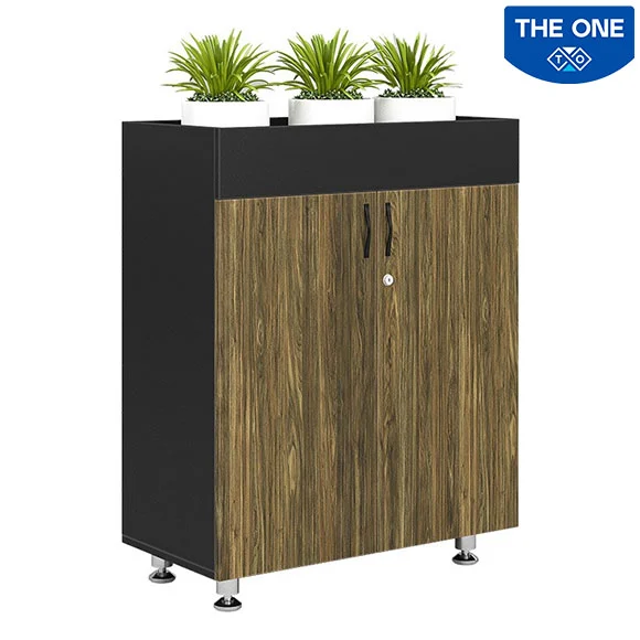 Tủ tài liệu Bright The One  BRI1000-2T2