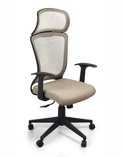 Ghế công thái học GX2314-N