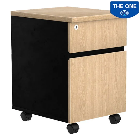 Hộc tài liệu LEM1D1F