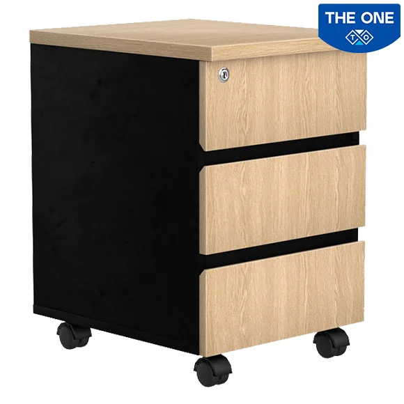 Hộc tài liệu LEM3D