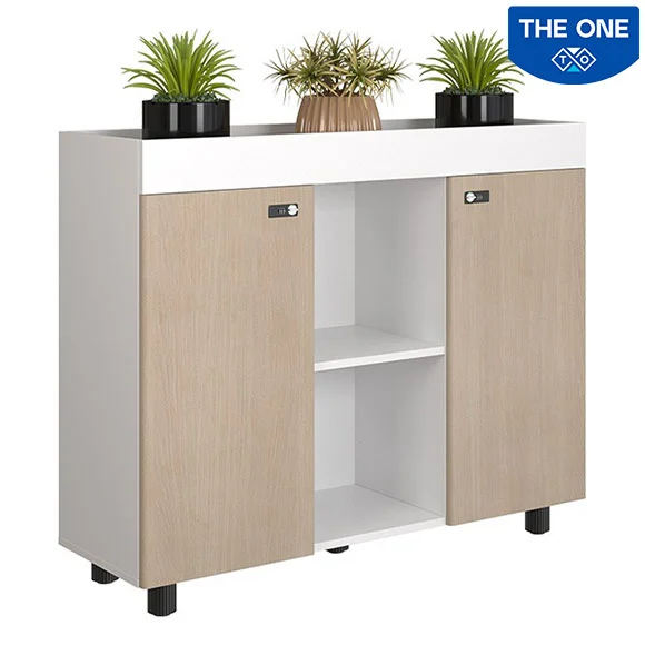 Tủ tài liệu NTV1000-3T2