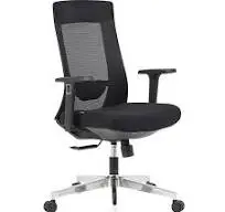 Ghế lưới lãnh đạo The One GL221